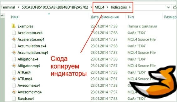 Индикатор торговых сессий на форекс